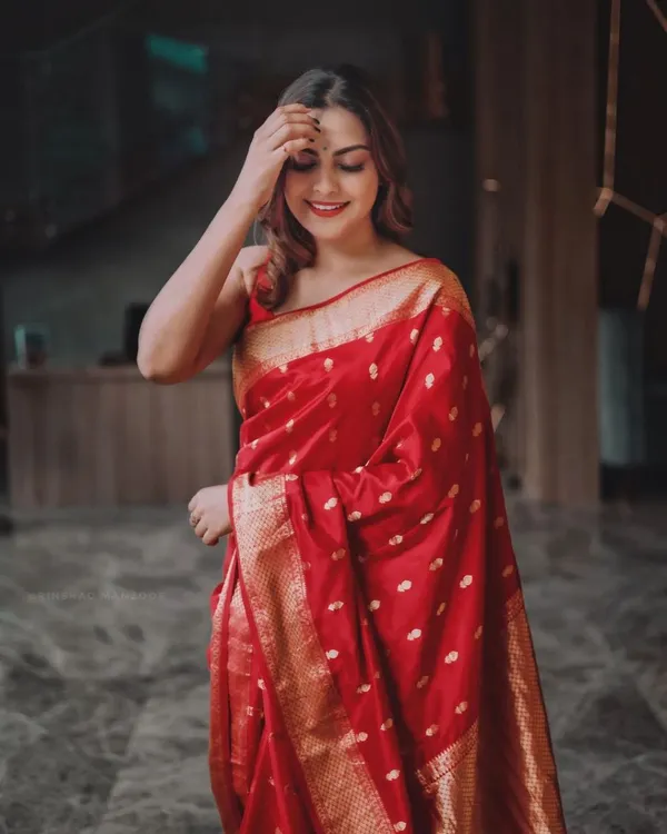 RED_PURE_BANARASI_SAREE